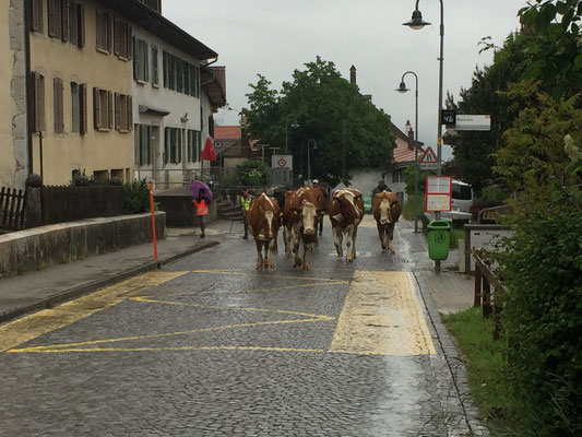 Orvin im Regen