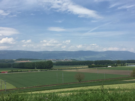 Blick in Richtung Jura (Chamblon)