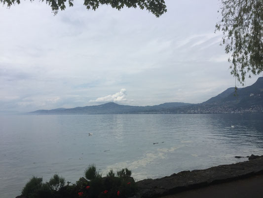 Blick von Montreux in Richtung Lausanne