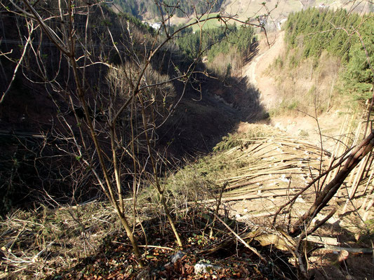 Holzschlägerung im "Daumgraben" Rabenreith