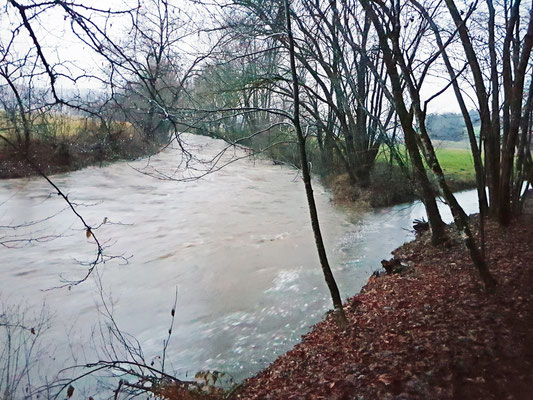 Noch niedrig-Hochwasser 3. Fen. 2020 7:16 h