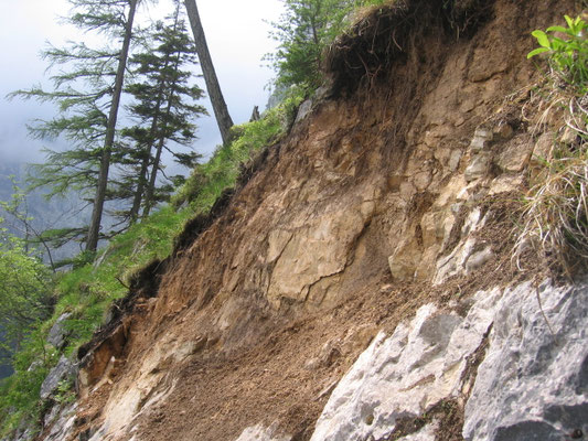 Der Schafluckensteig ist ab 8. Juni 2008 wieder offen.