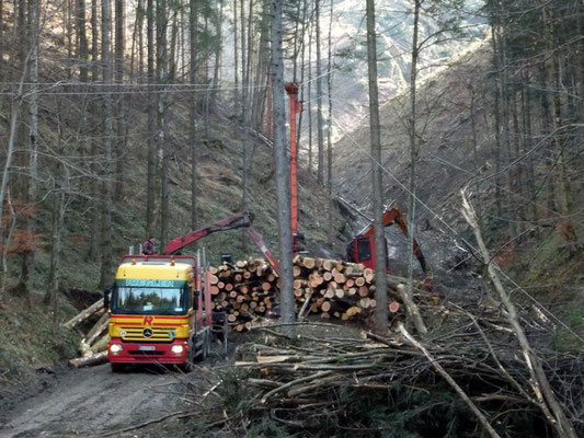 Holzabtransport im "Daumgraben" Talstation der Holzseilbahn