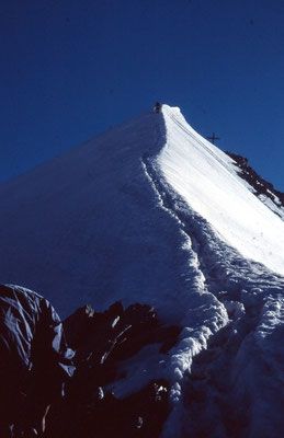 Der Hochfeiler 3.510 m