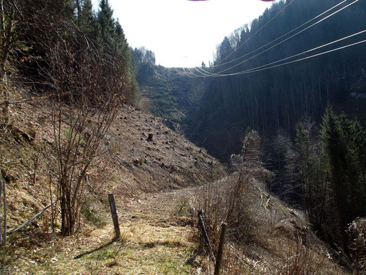 Holzschlägerung im "Daumgraben" Rabenreith
