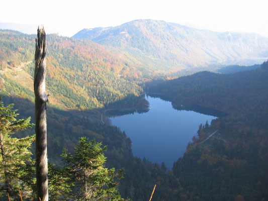 Der Schafluckensteig ist einer der schönsten Steigen im Höllengebirge.