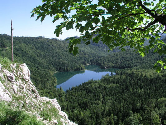 Arbeitseinsatz 2012.
