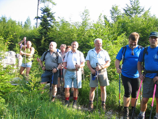 Am Weg zum Langbathsee