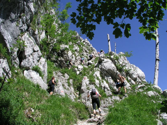 Arbeitseinsatz 2012.