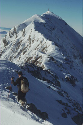 Am Weg zum Großewn Priel