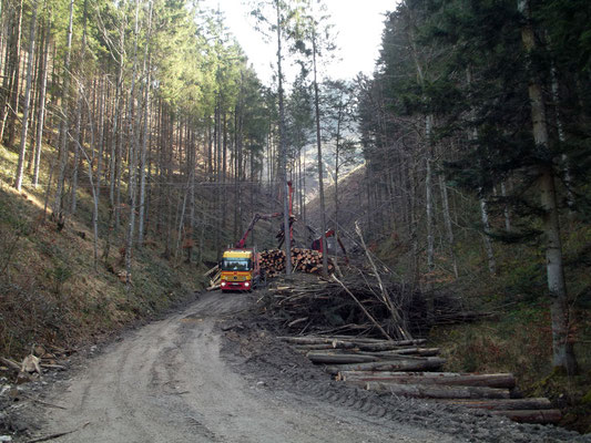 Holzabtransport im "Daumgraben" Talstation der Holzseilbahn