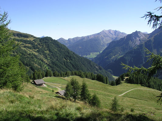 Obere Schönarlalm 1.990 m