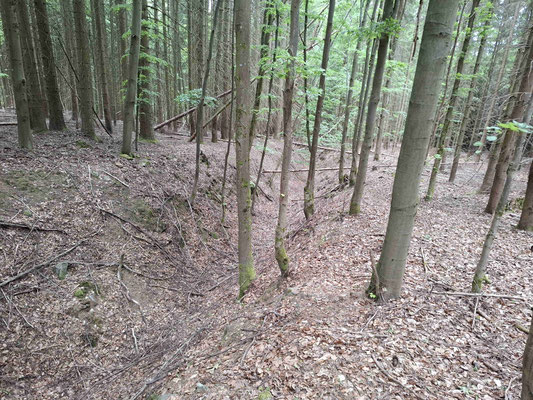 Unterer Abschnitt, in Richtung Mauthaus (Mytnice) bzw. Seeg (Pila)