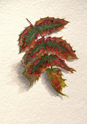 Herbstblatt, Aquarell auf Büttenpapier, 24x17 cm, 2024