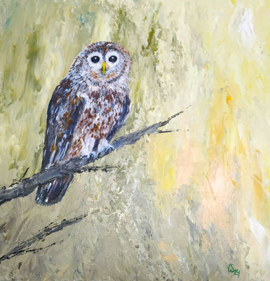 Eule, Acryl auf Casani-Bildkörper, 40x40 cm, 2024