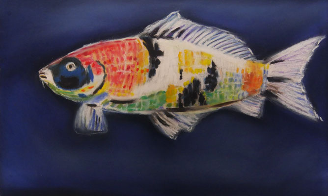 Koi, Pastellkreide auf Pastelmat, 15x24 cm, 2022