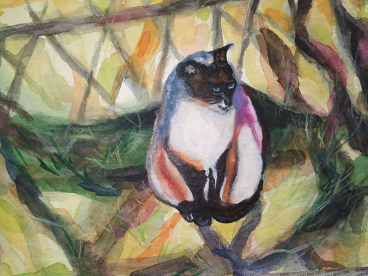 Siamkatze in der Januarsonne, Aquarell auf Bütten, 17x24 cm, 2025 