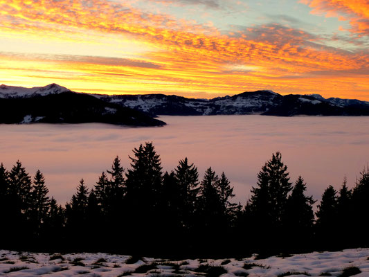 Alpenrosenhütte, Tirol