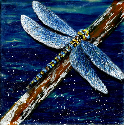 Libelle, Acryl auf Acrylplatten (3D), 20x20 cm, 2019