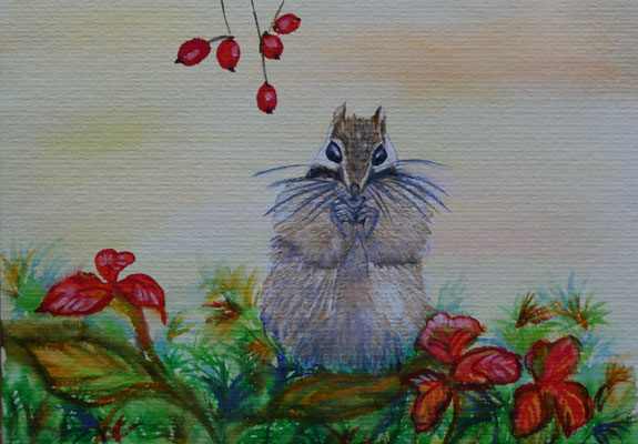 Hörnchen, Aquarell auf Büttenpapier, 17x24 cm, 2020 