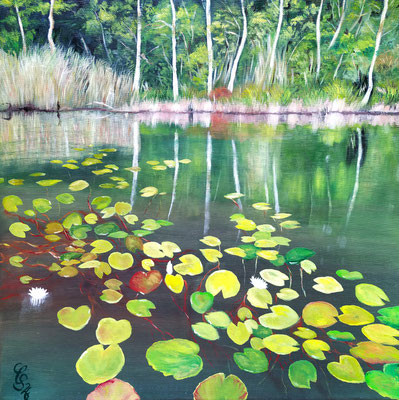 Seerosenteich, Öl auf Leinwand 50x50 cm, 2026