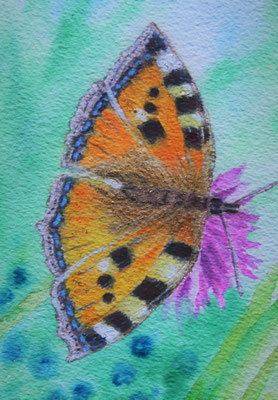 Distelfalter, Aquarell auf Büttenpapier, 24x17 cm, 2022