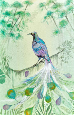 Prachtvogel darf leben durch Schutz des Regenwaldes in Indonesien, Acryl auf Leinwand, 60x40 cm, 2025