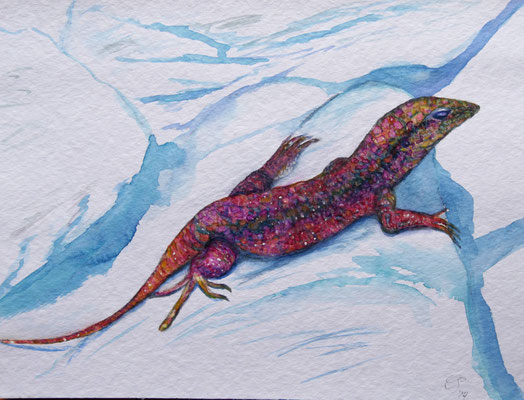 Eidechse, Aquarell auf Bütten, 24x32 cm, 2024