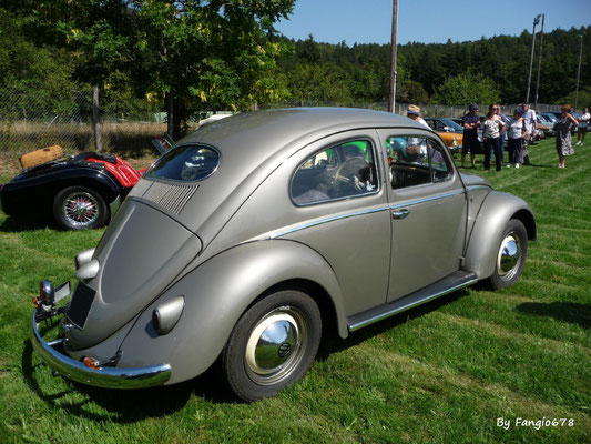 VW Cox "ovale"
