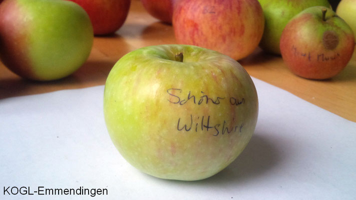 Schöner aus Wiltshire