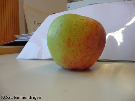 Horneburger Pfannenkuchenapfel