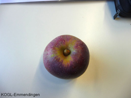 Brauner Matapfel