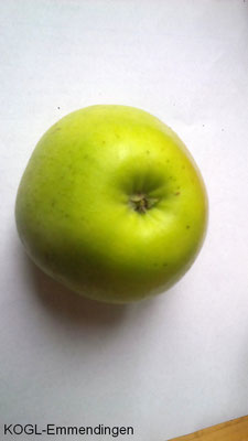 Odenwälder Apfel