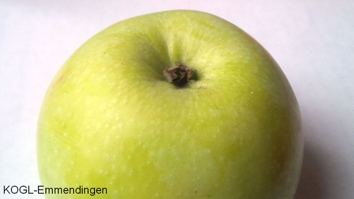 Schöner aus Wiltshire