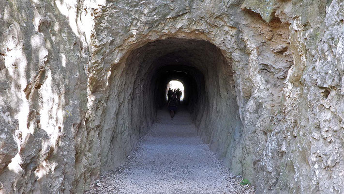 Ein Tunnel führt vom Pont du Gard weg.