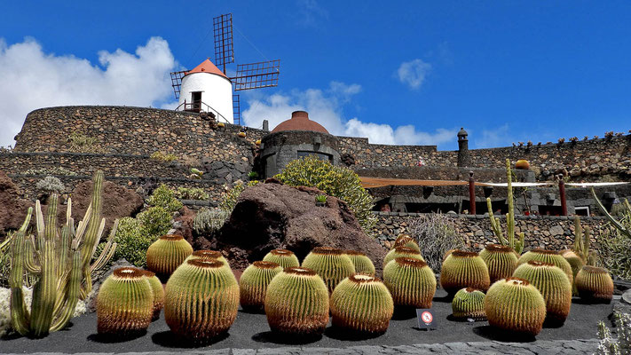 Jardin de Cactus - "Schwiegermuttersessel" vor der Gofiomühle.