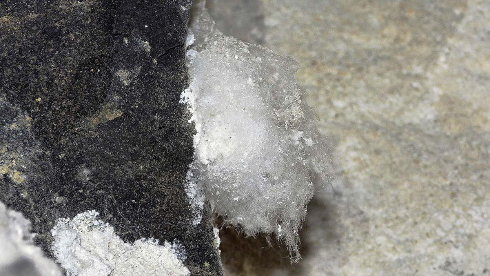 Hauchzarte Gipskristalle bilden Polster aus Gipswatte.
