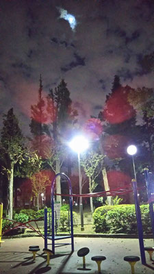 りえ&ゆうき／2020.10.06 23:41／東京、教育の森公園