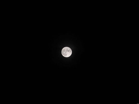 まさゆき／2020.09.02 20:40／広島、自宅近辺