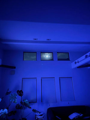 はま／2022.09.04 20:48／名古屋市、自宅