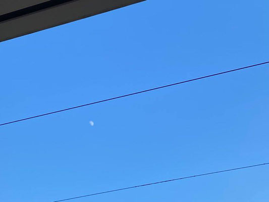 ふうちゃん／2021.07.19 17:30／豊島区