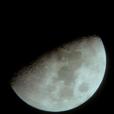 marmotte／2021.12.12 20:50／軽井沢町