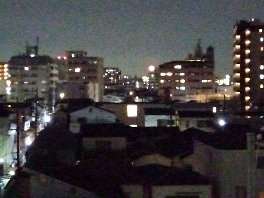 りえ＆ゆうき／2024.04.25 20∶00／東京都·自宅ベランダ