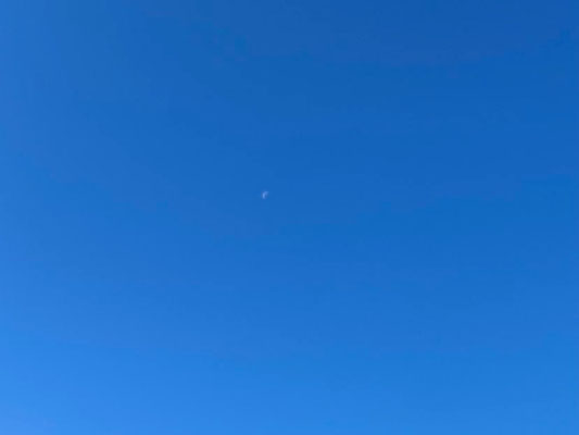 ふうちゃん／2021.11.28 10:08／東京都内