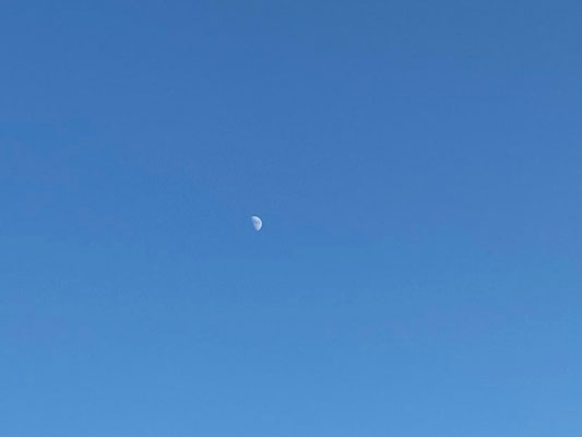 ふうちゃん／2021.12.12 15:29／東京都内