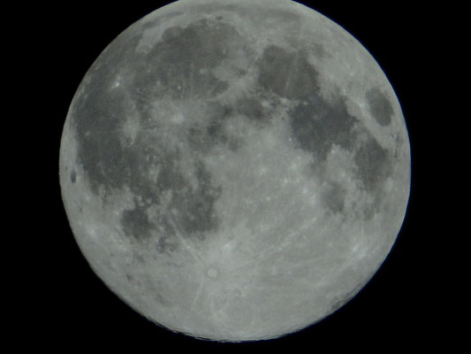隅田川／2023.02.05 22:50／東京都