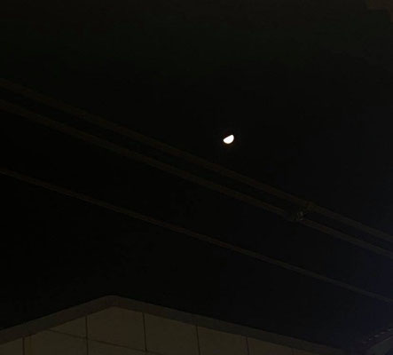 ふうちゃん／2021.02.20 22:24／東京都内