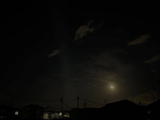ふうちゃん／2022.04.16 18:56／東京都内