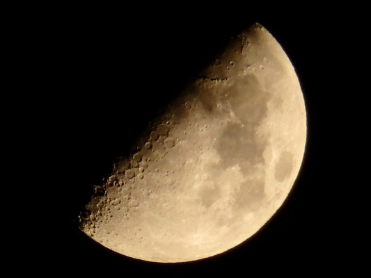 隅田川／2023.04.28 23:21／東京都