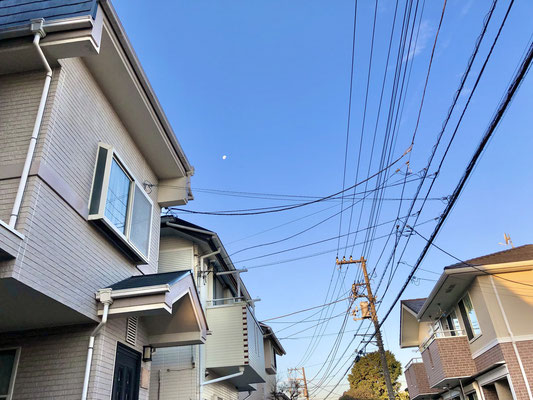 藤／2021.12.24 7:19／東京都内